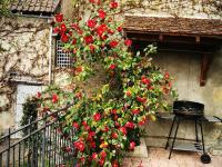 Charmant gîte près d'un château avec jardin, terrasse, parking et WiFi, à 14 km de Vichy - FR-1-489-1 - Chambres d'hôtes Billy