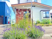 Station Home Lavender - B&B