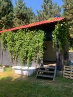 Noclegi Zielona Gęś - Ferienwohnung Haselbach