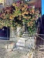 Corfu Pelekas Apartment - Bed and Breakfast Pélekas