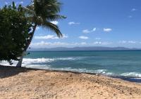 Appartement climatisé au cœur d un jardin tropical plage à 3 min - Chambres d'hôtes Port-Louis