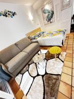 Studio with Terrace