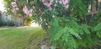 LA PETITE BICOQUE au fond du jardin - Ferienwohnung