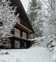 Ferienwohnung in Schönwald Schwarzwald - B&B