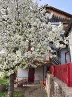 Obertraum Appartement und Ferienwohnung - B&B Solnhofen