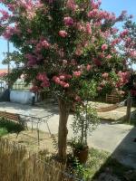 Magnolia House - B&B Néa Vrasná