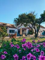 Montijo Garden - Studio with garden view - B&B Montijo