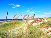 Apartament Amelia2 - B&B Świnoujście