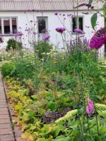 Aarstidernes BB - B&B Silkeborg