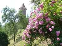 Camera Matrimoniale Standard