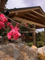 Apartamenty Wichrowe Wzgórze - Ferienwohnung Krynica Zdroj