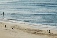 Foxglove Lodge - B&B New Quay