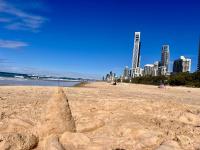 Top level Ocean View Oasis with 3 Beds - B&B Gold Coast