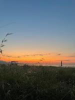 Ünye Kavaklar Holiday Houses - B&B Ünye