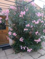Etage privatif au calme - 2 chambres & salle de bains - B&B Barret-de-Lioure