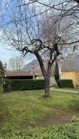 Relais La Vurpicella - B&B