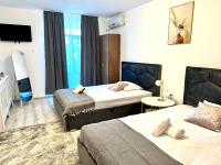 Appartamento con 2 Camere da Letto