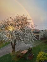 Przytulny Dom pod Jabłoniami przy Targach Kielce - B&B Kielce
