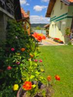 Srebrna dolina - B&B