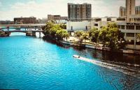 Rivercrest Bungalow Retreat - B&B Tampa