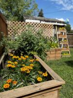 Modern home in Downtown Wpg - Bed and Breakfast Winnipeg