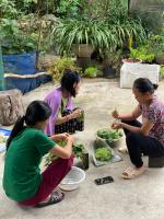 Son Thoi Homestay - B&B Lào Cai
