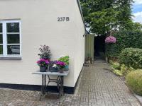 Jonstrupvejens Apartments Lejl D - B&B Ballerup Municipality