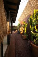 Rooftop Glass House in Old Town - B&B Oaxaca