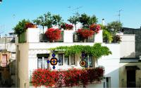 Casa Farella B&B in SUITES Apartments and Terrace Altamura x Matera - B&B Altamura