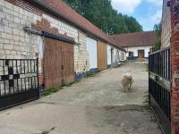 Ferme de la Porte en Aix - Ferienwohnung