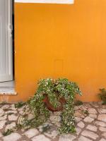 Casa da Aldeia - B&B Bensafrim