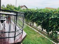 Apartma Laganini - B&B Bosiljevo