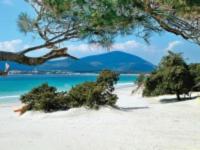 Appartamento con piscina fronte spiaggia del Lido - Chambres d’hôtes Alghero