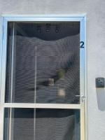 Appartement met 1 Slaapkamer