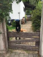 SeelenbaumlerIn - B&B Schliersee