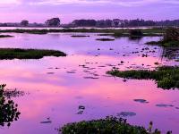 Family Room with Lake View