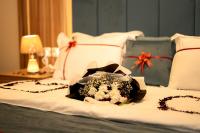 نصف الموسم للشقق المخدومة - اقتصادي - B&B Abha