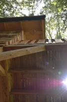 Treehouse Velké Losiny - B&B Velké Losiny
