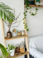 Apartment mit 1 Schlafzimmer