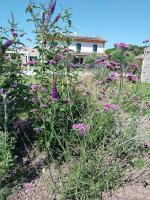 Villa Guazzi - Bed and Breakfast Pesaro