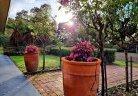 The Timboon Villa - 5 bedroom home - Chambres d’hôtes Timboon