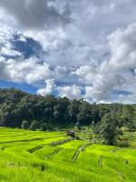 Chibacall ชิบะคอล Chiang Mai hideaway Homestay - Chambres d’hôtes Chiang Mai