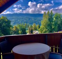 Standard Apartment mit 1 Schlafzimmer und Balkon 
