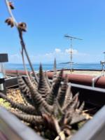 Appartamento con Vista Mare