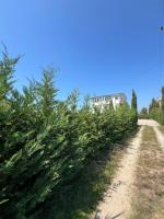 The White Villa - Bed and Breakfast Hamallaj