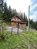 Cabana dintre brazi - B&B