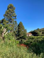 Bodega Linda - B&B