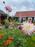 Bed en Brochje De Oase - Bed and Breakfast Sweagerbosk