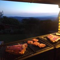 PODERE TORRICELLE 69B INDEPENDENT COUNTRY COTTAGE for max 4, pool, jacuzzi, bbq, 2 bedrooms and 1 bath, 2nd bath by pool-Upon request for extra cost, a room in main villa with private bathroom, kitchen ,bbq, see PODERE TORRICELLE 69B FULL SERVICED ROOM - Chambres d'hôtes Pancole
