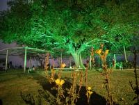 Mí Santa Guadalupe Esquina ctes - B&B Esquina